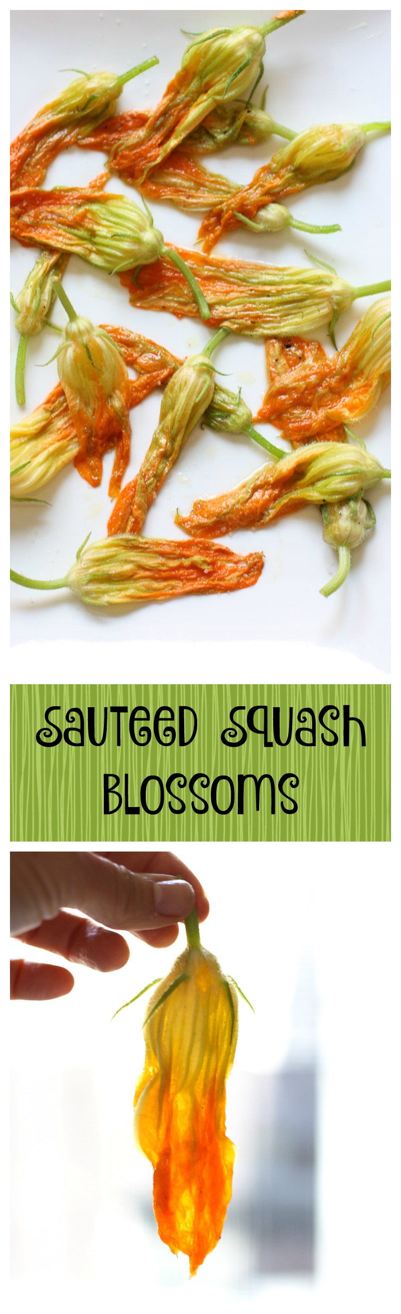 sauteed squash blossoms